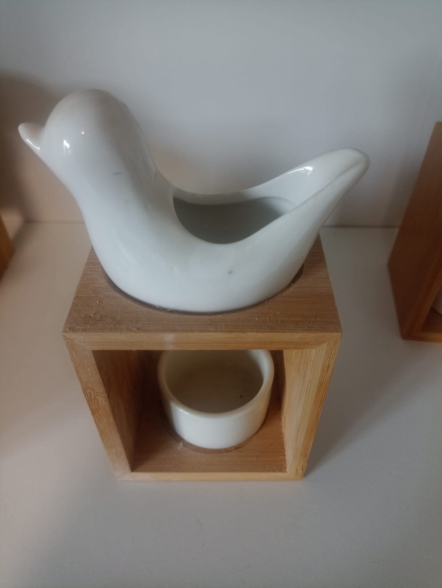 Brûleur oiseaux